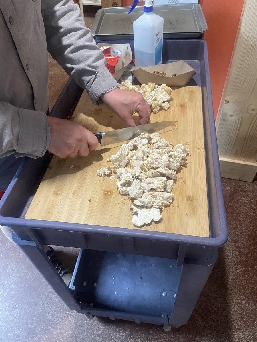 Cutting up mushroom stems to dry, powder, and add to our umami seasonings that we sell at our farm store in #WesternNorthCarolina.

#VisitNC
#VisitNCFarms
#Agritourism