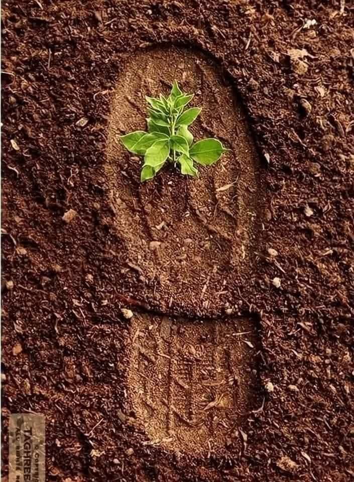 Dünya geçici diyorlar azizim, Sanki insan kalıcı.

İnsan bir yolcu, zaman ise yol.

Bazen yolcu iz bırakır,

Bazen de yol.

Lâkin bu yolculuk nereye?

"Fe eyne tezhebûn."

Hâl böyleyken nereye?