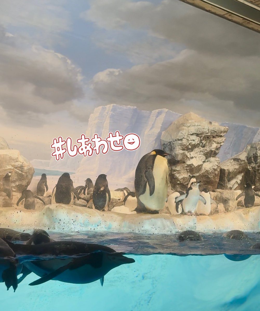 9月の御予約ありがとうございます🍀

8/15まで受付中ですので
LINEにてご希望日お知らせください🫶

大きい子全く動いていなかった寝てる？🐧笑