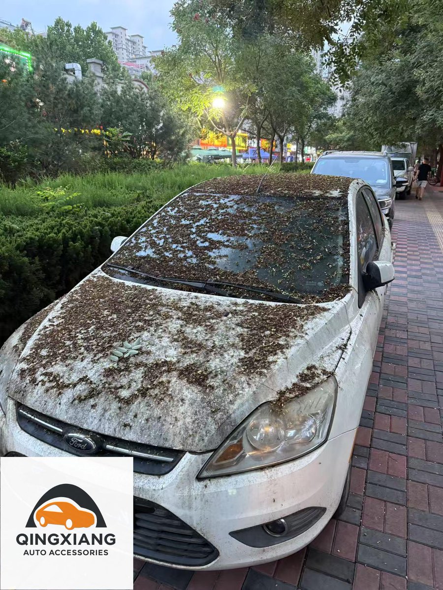 YanNathan84282's tweet photo. 🍂🚗 Protect Your Car This Fall with Our 190T High-Density Car Covers! 🚗🍂

✅ Durable 190T silver-coated fabric blocks leaves and sap
✅ Waterproof, dustproof, and UV resistant for full paint protection
✅ Elastic hems ensure a snug fit to prevent wind displacement

#CarCover https://t.co/9hHBY8zKTq
