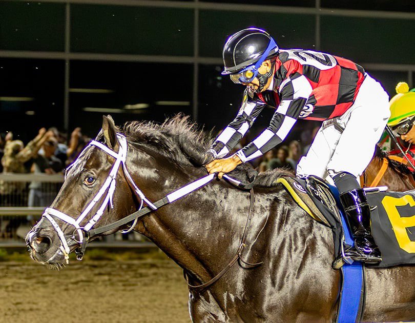 Shane Wilson Racing Stables (@swracingstables) on Twitter photo A Thousand Arrows broke his maiden in the last race tonight at Evangeline Downs! The Calibrachoa colt is owned by his breeder Mr. Tye and Mrs. Trish Smith and was piloted by Filemon T. Rodriguez!
<a href="/hodgesphoto/">Hodges Photography</a> A Thousand Arrows broke his maiden in the last race tonight at Evangeline Downs! The Calibrachoa colt is owned by his breeder Mr. Tye and Mrs. Trish Smith and was piloted by Filemon T. Rodriguez!
<a href="/hodgesphoto/">Hodges Photography</a>