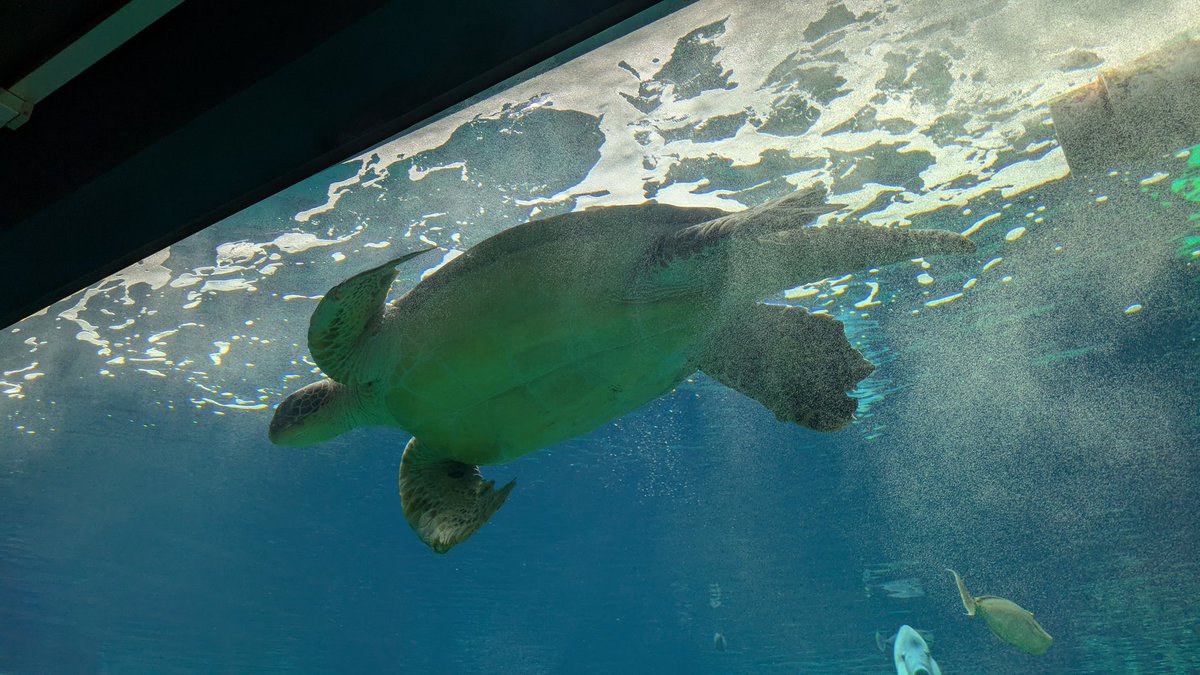 playnote's tweet image. 幸福だけの幸福はパンばかりのようなものだ。食えはするがごちそうにはならない。むたなもの、無用なもの、よけいなもの、多すぎるもの、何の役にも立たないようなもの、それがわしは好きだ。（ユーゴー『レ・ミゼラブル』）