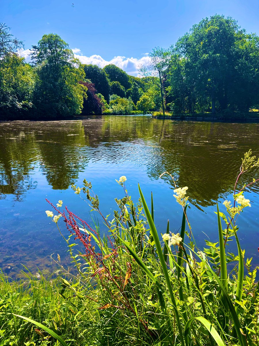 Gorgeous afternoon at Gosford House
#SundayFunday #August #scenery