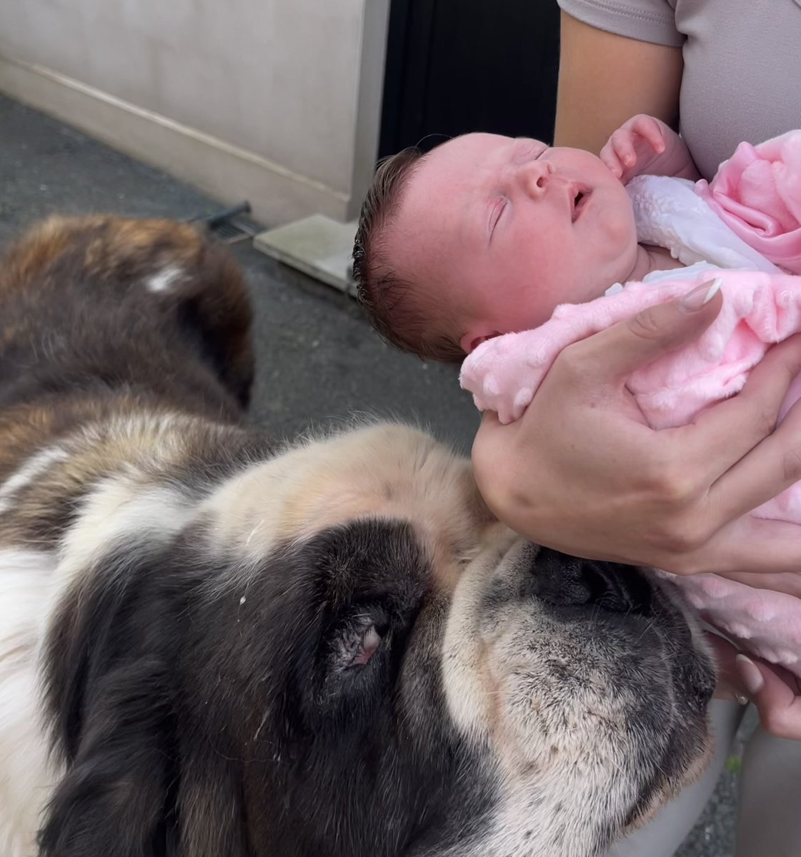 Robbie Butler MLA (@robbiebutlermla) on Twitter photo When Viviana 💓met Auntie Minnie 🐶
A very excited aunt I can report ❤️💓 When Viviana 💓met Auntie Minnie 🐶
A very excited aunt I can report ❤️💓