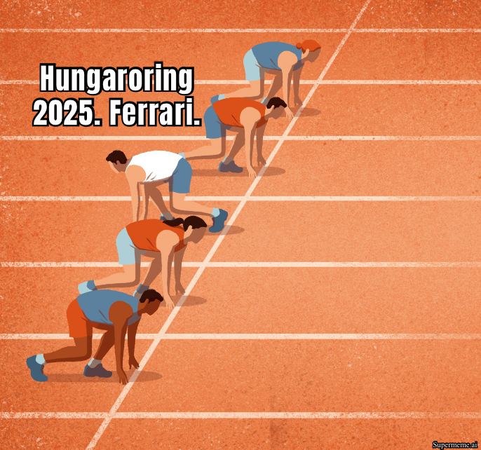 Mr_Good_Cat30's tweet photo. @MattP1Tommy #f1 #HungarianGP #mattp1tommy https://t.co/WJ4Mbu19q0