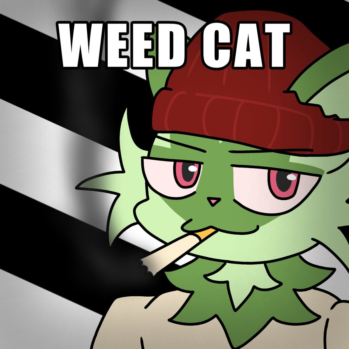 local weed cat tweet media