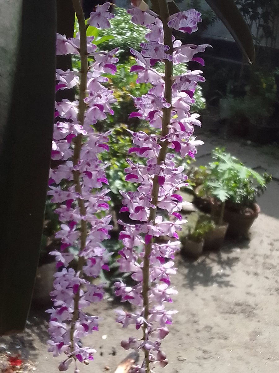 johasmom's tweet photo. তোকে নিয়ে  হাসি খেলি
করি তোর সাথেই  ঝগড়া, 
তুই  কি হাতে ��িলেই 
দেই সব কাজে বাগড়া।
আমি তোর খুব আপন তবুও 
আমি  তোর কেউ  না।
 নিজ লোক পাশে এলে
আমাকে আর মনে পড়ে না। 🙂🙂৷ 

শুভ রাত্রি। https://t.co/7fWFipEXDl