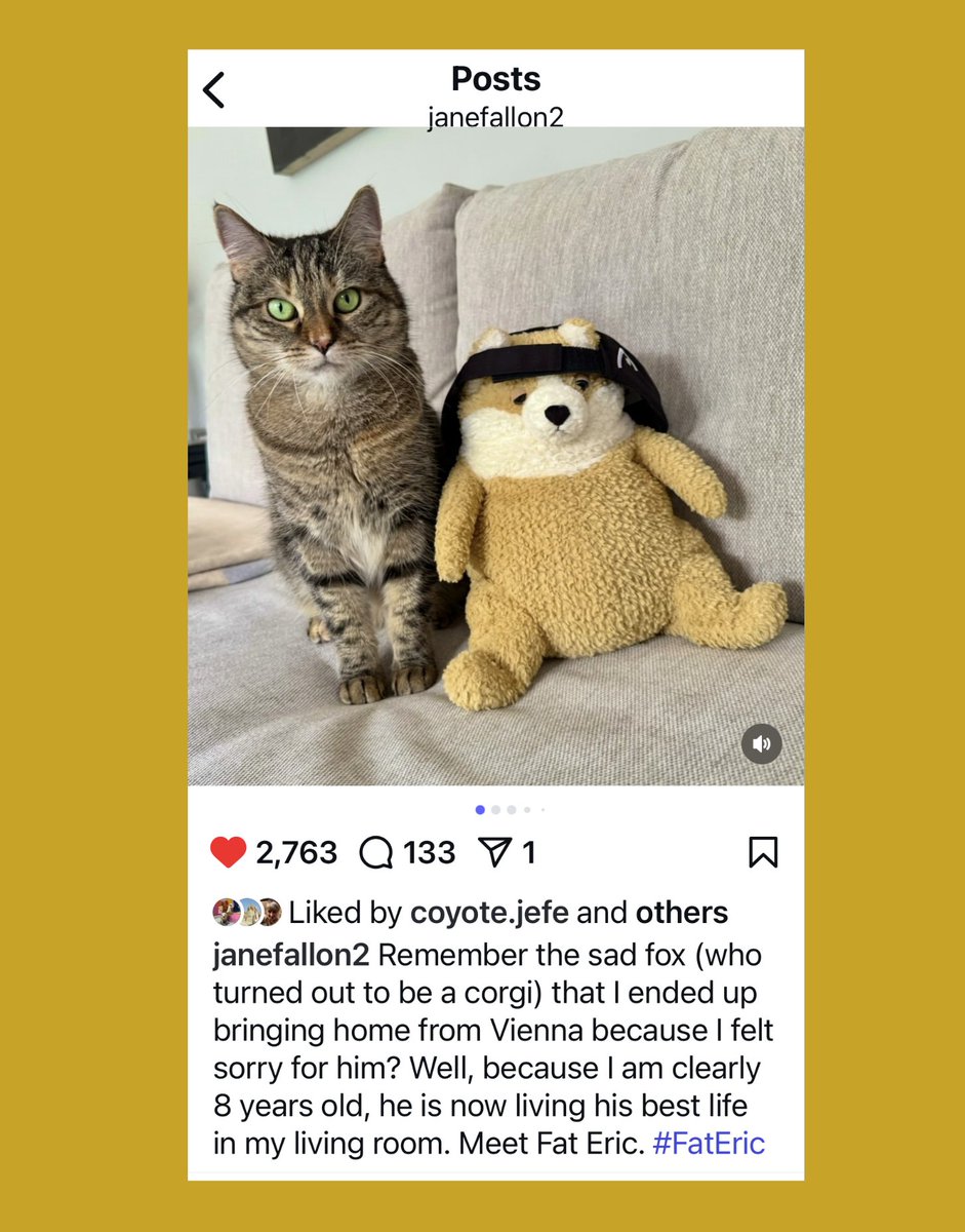 I have an exciting announcement! Miss <a href="/JaneFallon/">Jane Fallon</a> has introduced me to Instagram so I've manifested over there!!!! I don't know much about these things but apparently I'm still called @fateric2025 and I'm still working as <a href="/PickliciousF/">Pickle</a>'s security guard. #FatEric