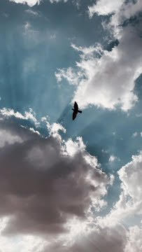 سلام على إلي مابيني وبينهم غيرالتعليقات ولكنهم کل مامروفي صفحتي زادوهاجمال
مساءلخيرللجميع