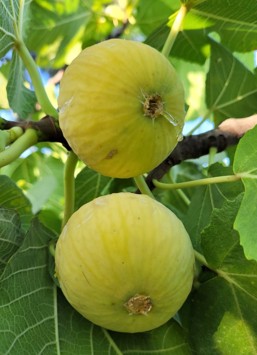 Doğa ve huzur