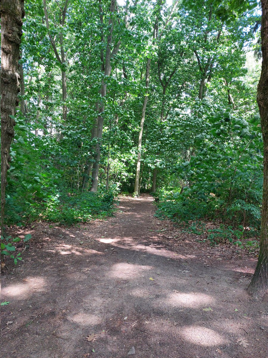Rondje in "mijn" parkje. Misschien straks nog een keer, anders morgen.