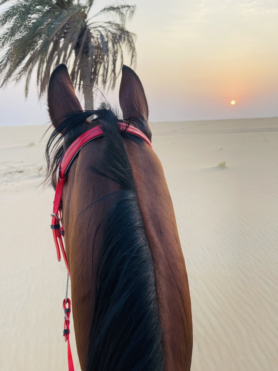 wejdan___m's tweet photo. للغروب بوسط قلبي ذكريات.. https://t.co/UvZI7UdMLY