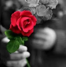 **“كنتُ أعيش التفاصيل بهدوء…
حتى جئتَ، فصار لكل لحظة طَعم، 
ولكل يوم حكاية جميله …

لم تكن مجرد حضور…
كنت البداية لكل شيء جميل.
منك تعلّمت أن بعض القلوب،
لا تأتي صدفة… …
بل تُبعث كـ نعمة.”*