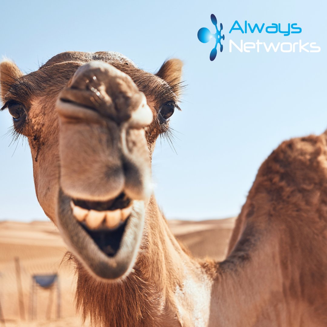 Hump day reality: Your printer's having an existential crisis and your WiFi's gone into witness protection. Don't let Wednesday tech tantrums derail your week. We sort the chaos before it starts. Get in touch 📞

#BarnsleyIsBrill #YorkshireBusiness #HumpDay