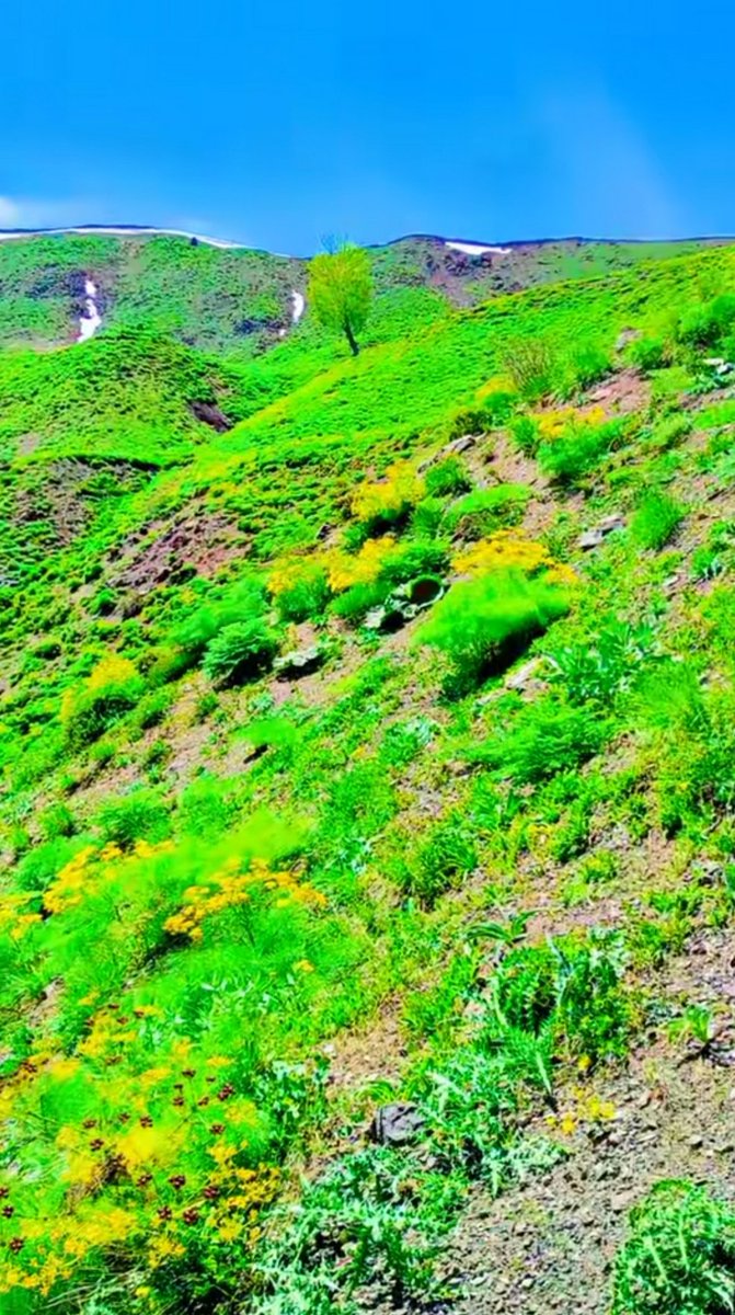 Doğa ve huzur