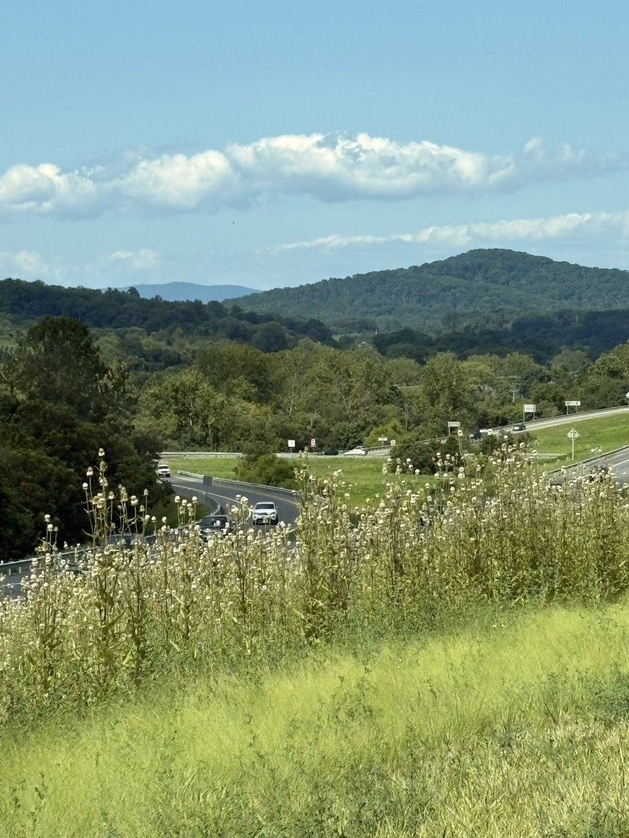 Happy Sunday. Mountains of Virginia🇺🇸❤️