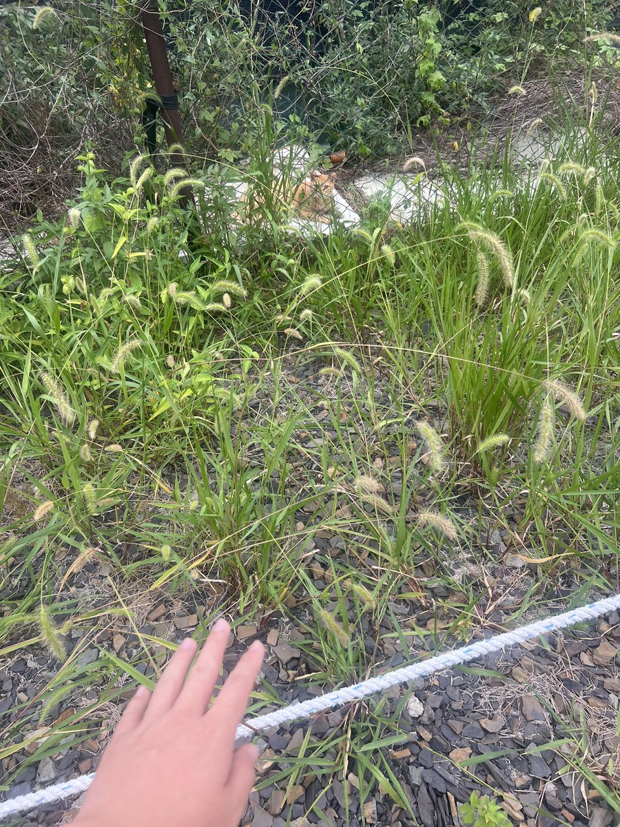 터치더 그라쓰 !

<a href="/opensea/">OpenSea</a>
#openseatouchgrass