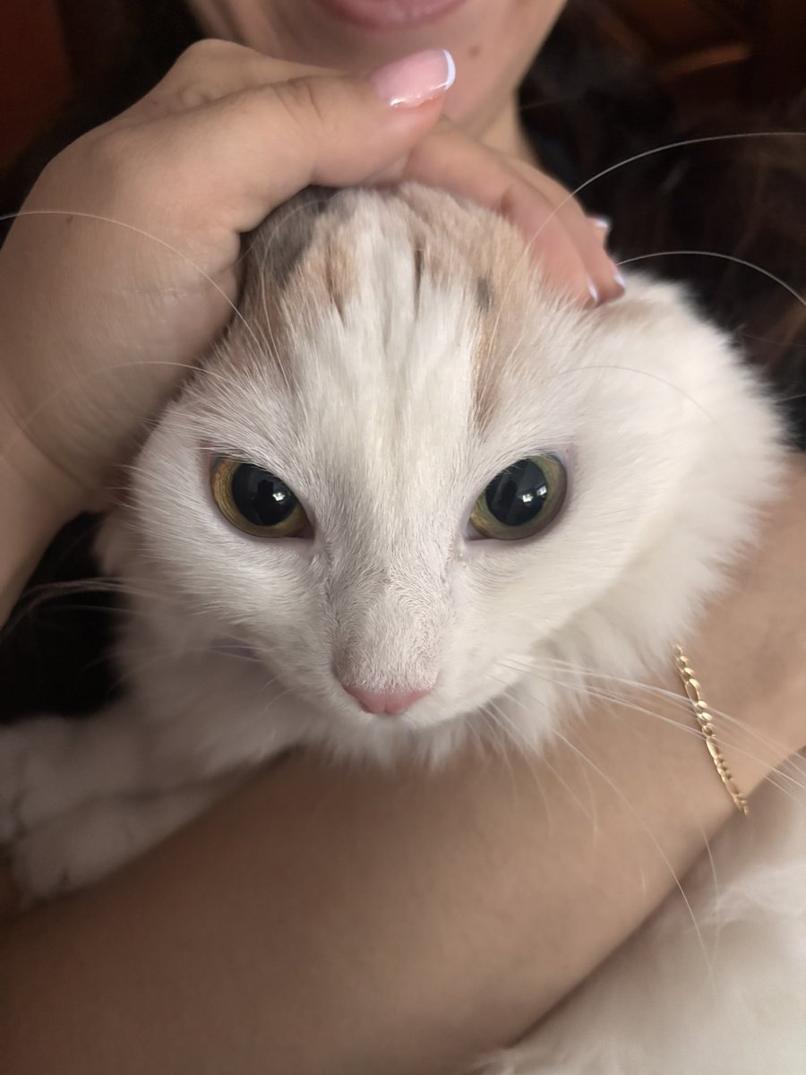 Manifest manifest manifest
Yapıyoruz kızlarımla manifest
Bizde cash cash cash cash cash
Money talks baby hadi konuları kısa kes