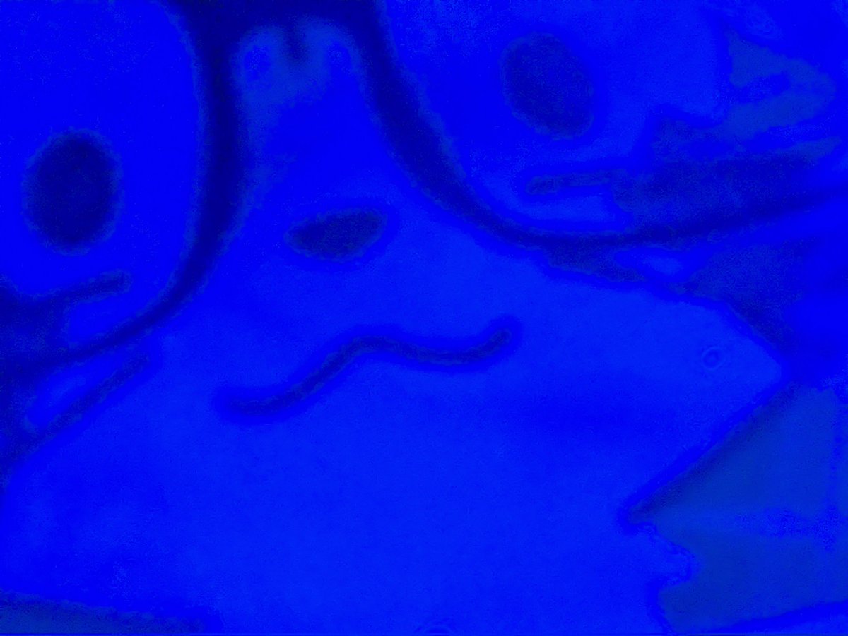 危なく遅れるところだったのミャン🦝😅