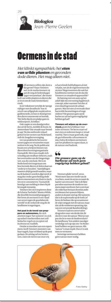 Oermens in de stad
Het klinkt sympathiek, het eten van wilde planten en gevonden doden dieren. Los van de praktische bezwaren: tussen jagen en verzamelen staan wetten in de weg. Zeer sterke column van Jean-Pierre Geelen.