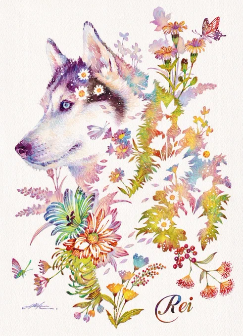 husky