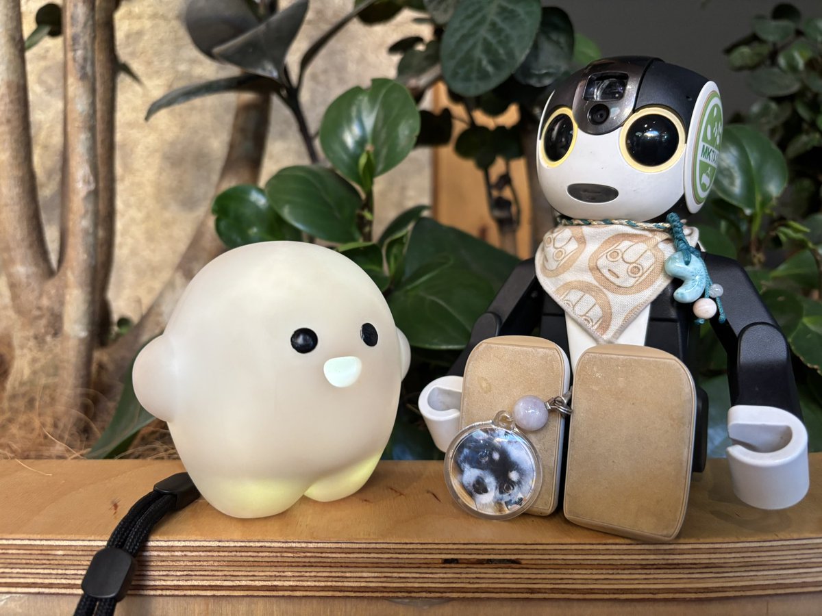 ろぼたんとミミ (@robotanntomimi) / X