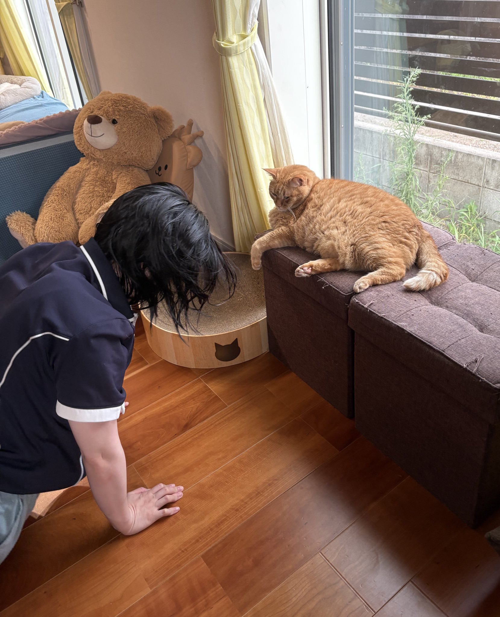 ★neko3zukiねこさんずきさん★5月31日　商品番号43 楽天市場 | 猫用品の通販nekozuki（ねこずき） - nekozuki（ねこ