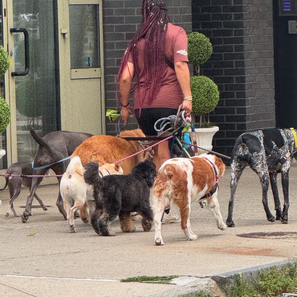 Relocate2London's tweet image. 🐾 Moving from New York to London with your pet?
✅ Pet-friendly flats
✅ DEFRA + travel help
✅ Fast, stress-free, guaranteed 💯

We make relocation easy —
👉 londonrelocation.com/who-we-help/pe…

#LondonRelocation #PetRelocation #MoveToLondon #NewYorkToLondon #DogFriendlyFlats