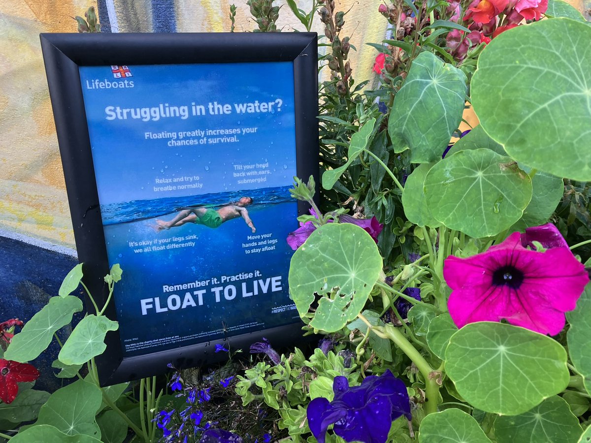 OnAnchorWatch's tweet photo. Fingers 🤞 for the ‘Planters’ in the Donaghadee Development Association’s entry in the RHS ‘Britain In Bloom’ 2025 competition.  Photos - Entry in support of @DonaghadeeRNLI for the #LifeSaving @RNLI #FloatToLive #WaterSafety messages https://t.co/bJaRsS3R8u