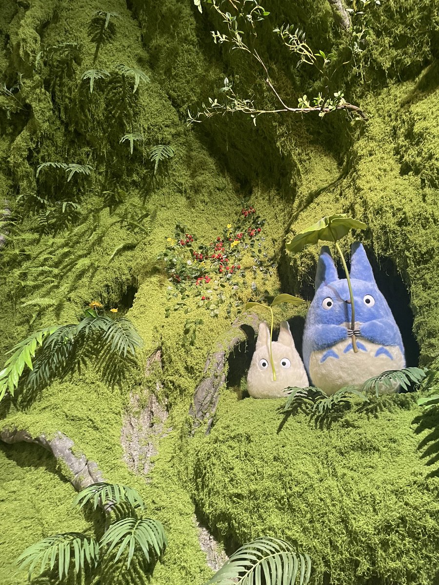 あなたトトロっていうのね！！！！