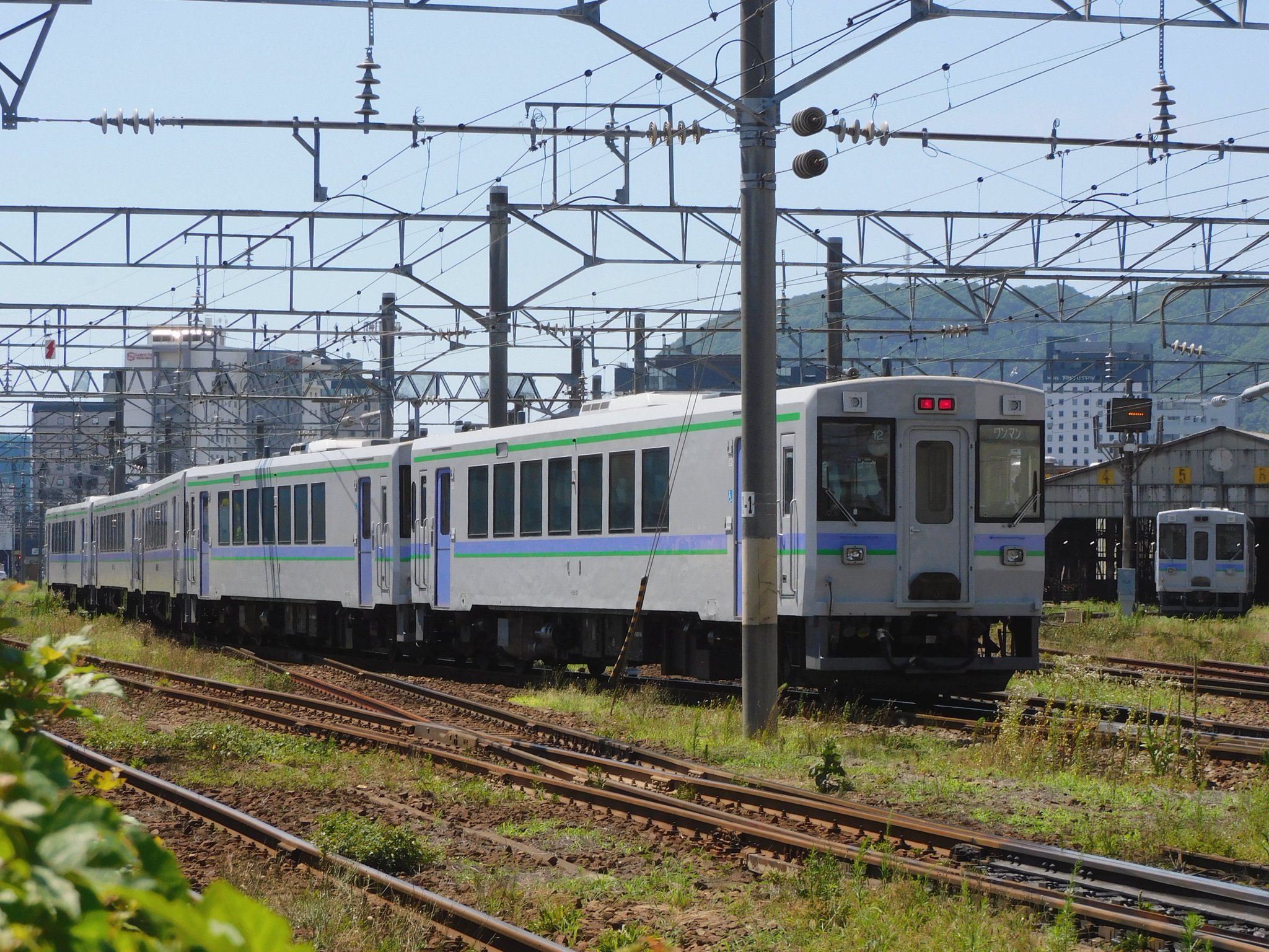 u*8様 リトープス　大量　大株　根付き　画像通りすべて発送　撮影日7月4日 20240310094325_IMG_1072.JPG