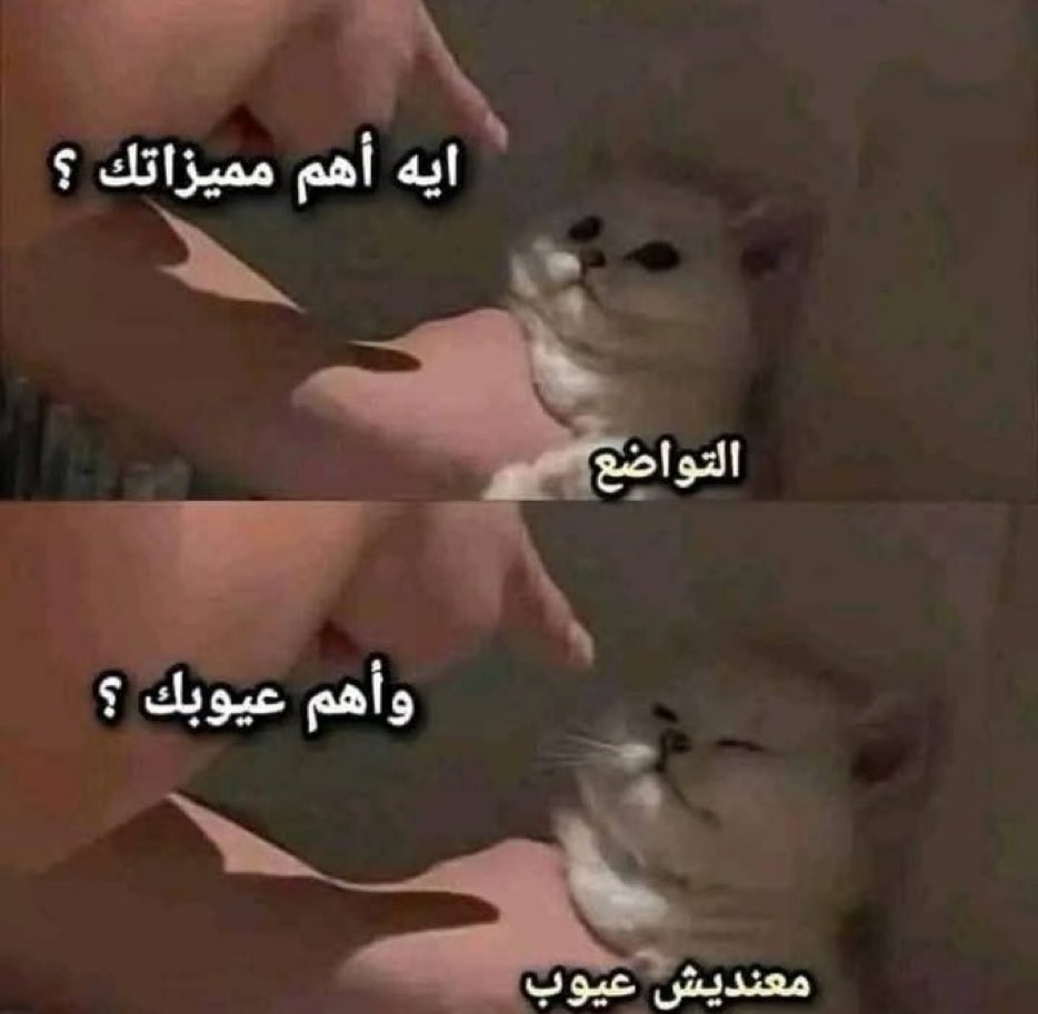 كل يوم صورة معبرة (@memesoficiial) on Twitter photo 