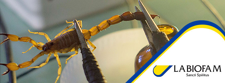 🧪 La Empresa Labiofam Sancti Spíritus, cliente de #PáginasAmarillasDeEtecsa , desarrolla productos farmacéuticos, suplementos y bioproductos 🌱
🔬 Ciencia, salud y sostenibilidad al servicio del bienestar
🔗 Conozca detalles en su micrositio 👉 pamarillas.cu/micrositio/emp…