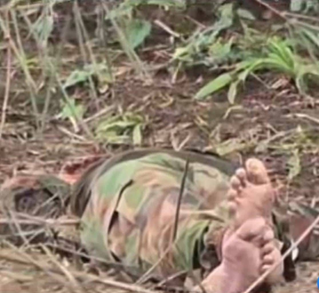 Army Military Force tweet media