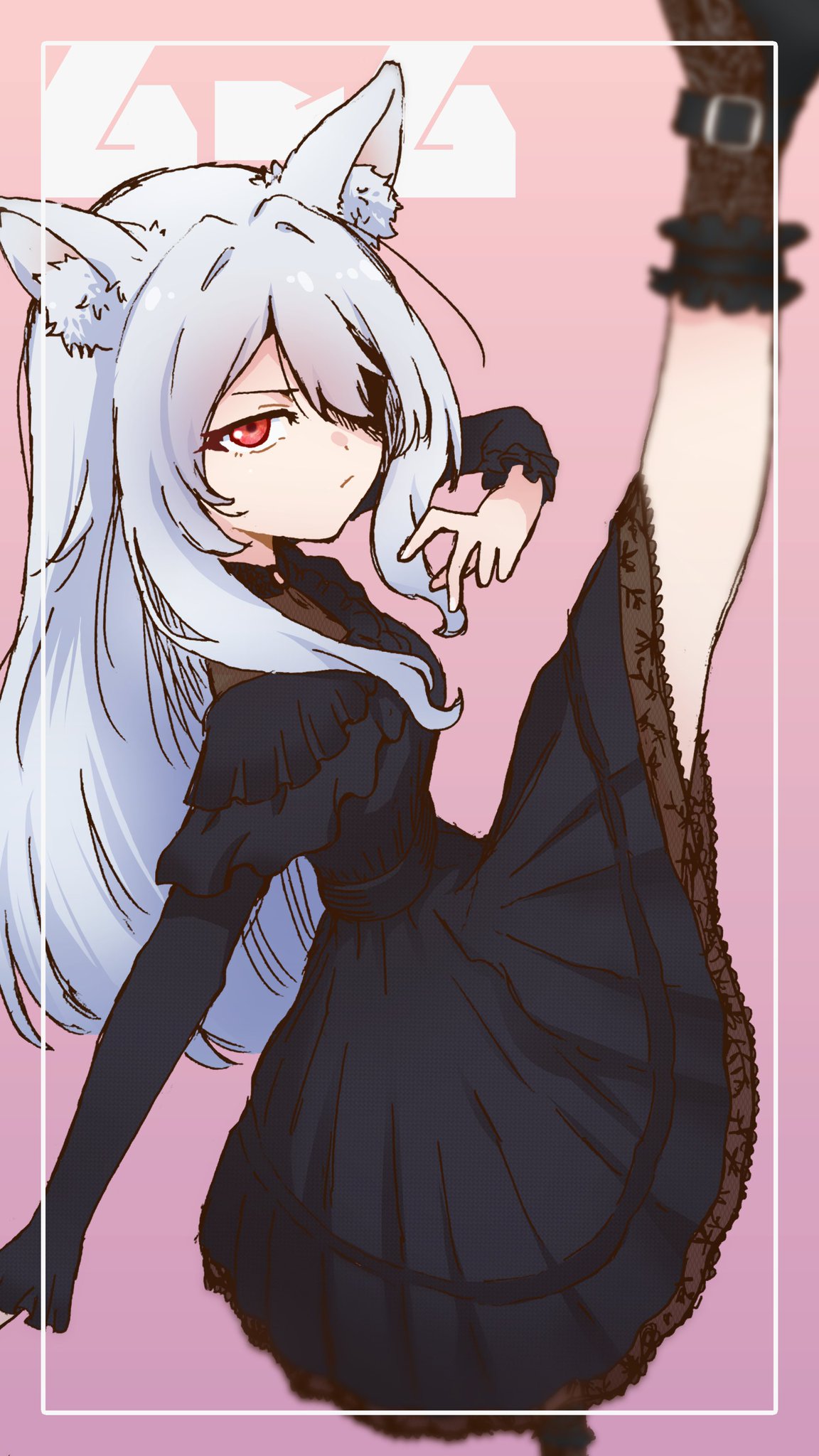 こむぎちゃん♡ 緑ノごまむぎ𓅓NYer on X: 