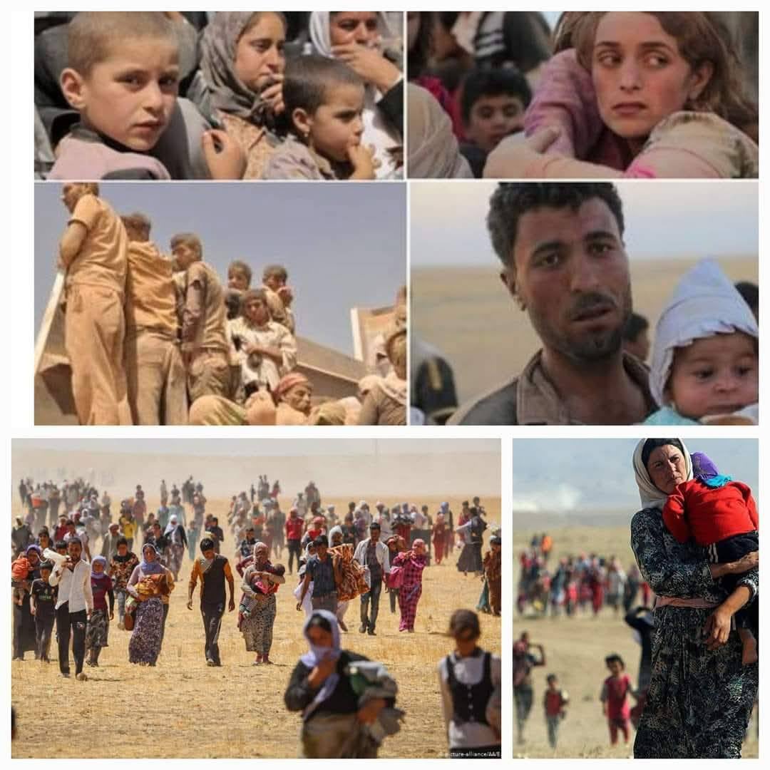 11 yıldır Ezidi soykırımının izleri duruyor!

IŞİD çeteleri Şengal’e saldırarak Ezidi halkı katletti. Kadın ve kız çocuklarını kaçırarak cinsel işkence uyguladı; pazarlarda sattı.

AKP ise IŞİD’i besledi.
Kahrolsun AKP-IŞİD işbirliği!
Yaşasın halkların mücadelesi!
#ezidisoykırımı