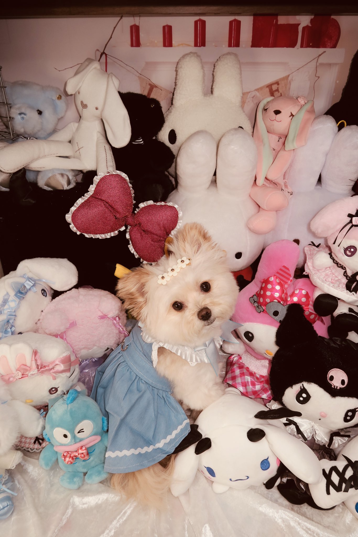 きゃんべる様❤️③リクエストオーダーページ　バッグインポメちゃん着物ポメちゃん きゃんべる様❤️③リクエストオーダーページ バッグインポメ