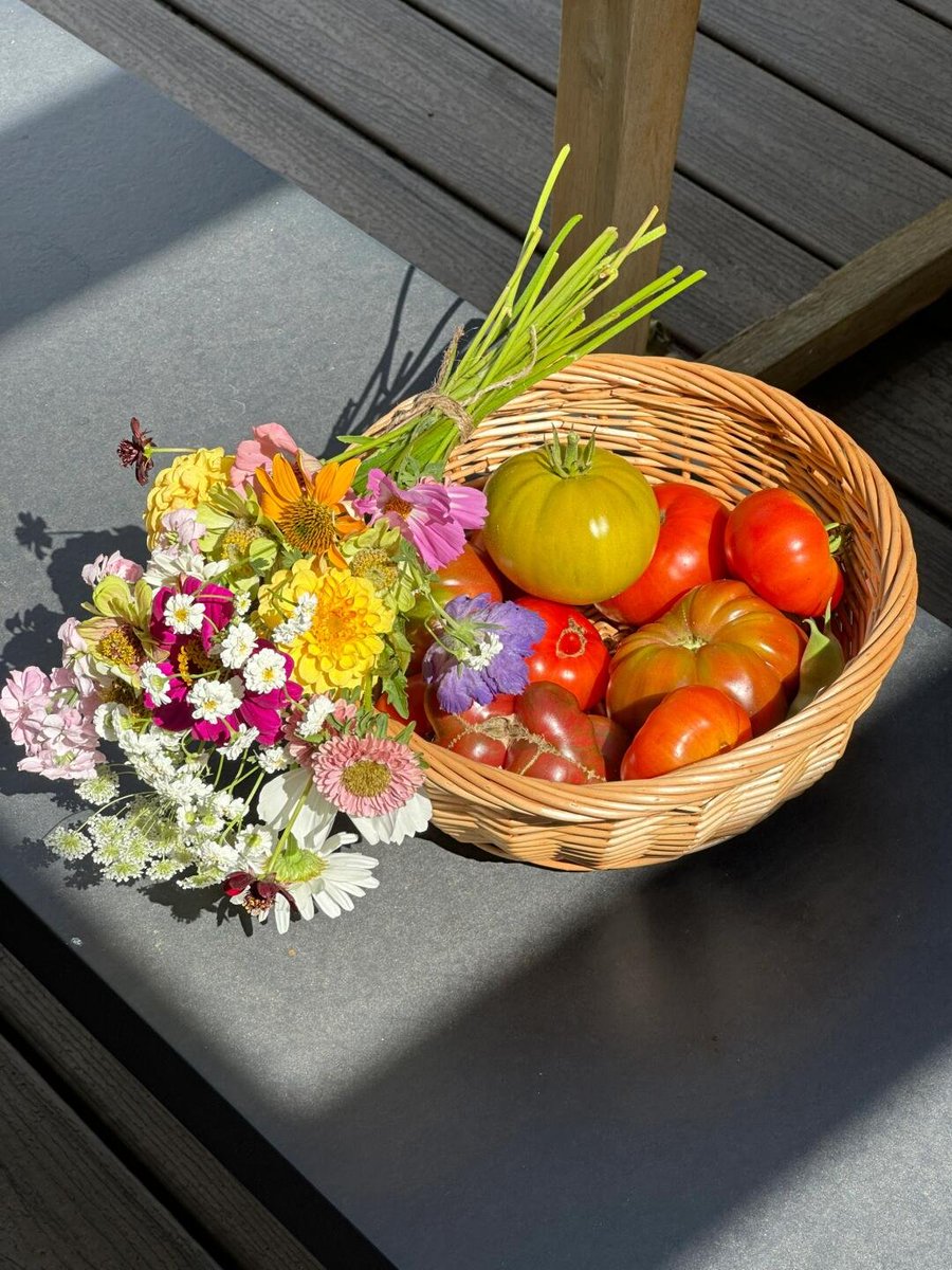 Hello, new day. Let's make it a great one🥰💐