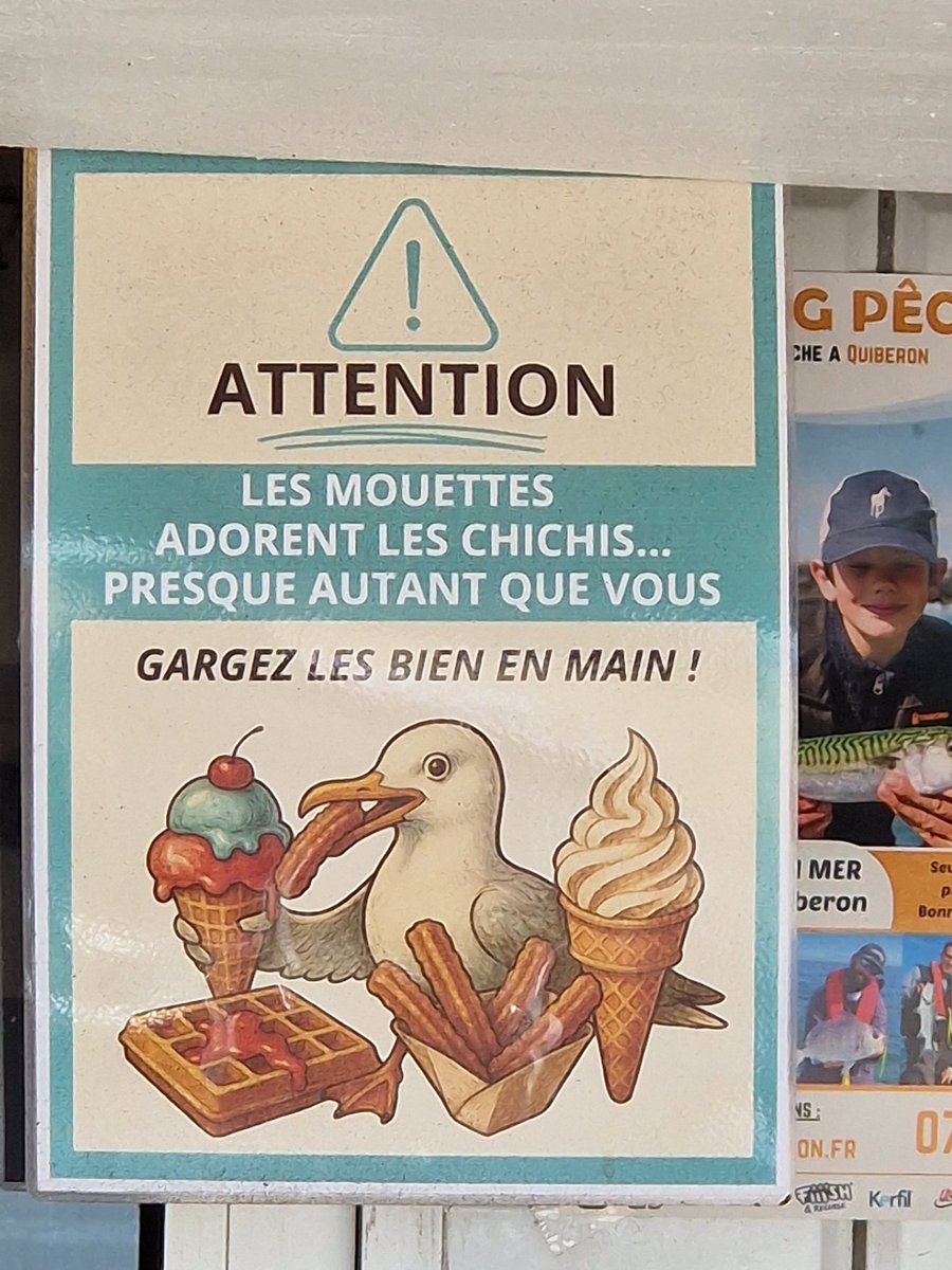 In Frankreich lebt man übrigens sehr gefährlich. Hier wird vor gefräßigen Möwen gewarnt.🤪