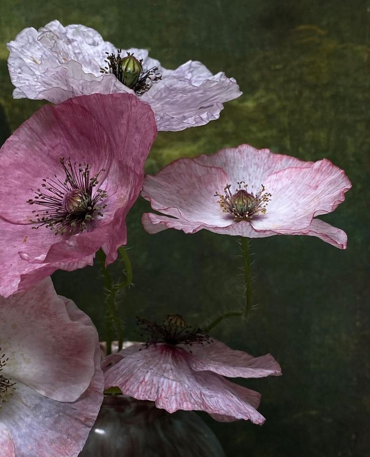 Janne (@janne0770) on Twitter photo 