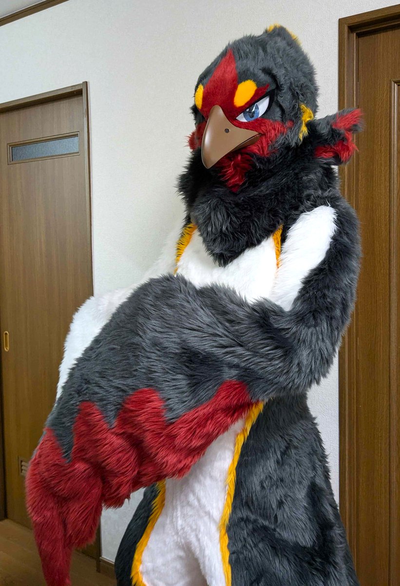 nimomo_mohu's tweet image. 犬工房さま（@Doggy_Studio）から鳥さんが来ました
ツバメと鷹のハーフの「アーサー」です！
秋をモチーフにしてデザインしました
以後お見知りおきを✨