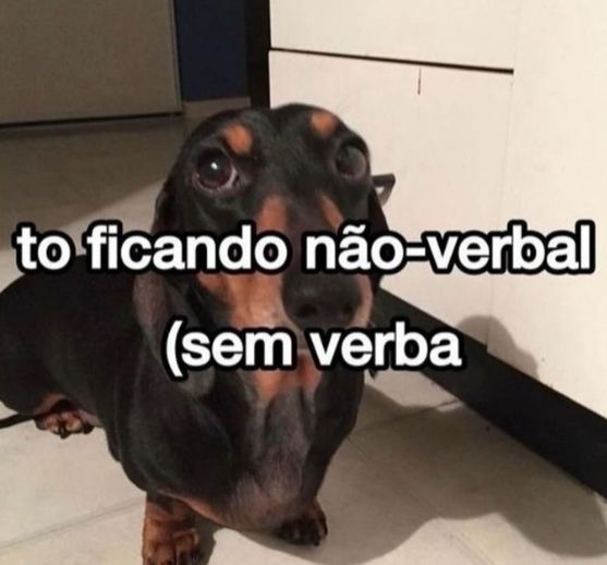 memes_horriveis's tweet image. 