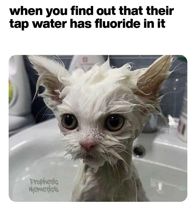 #PropheticMemetics