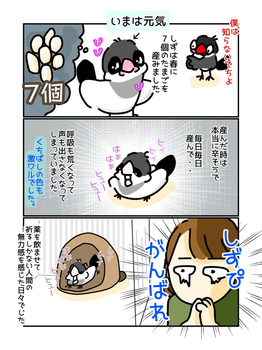 音信不通にしていた半年間の出来事🐥💦
これきっかけで、完全在宅にしようと思いました😭