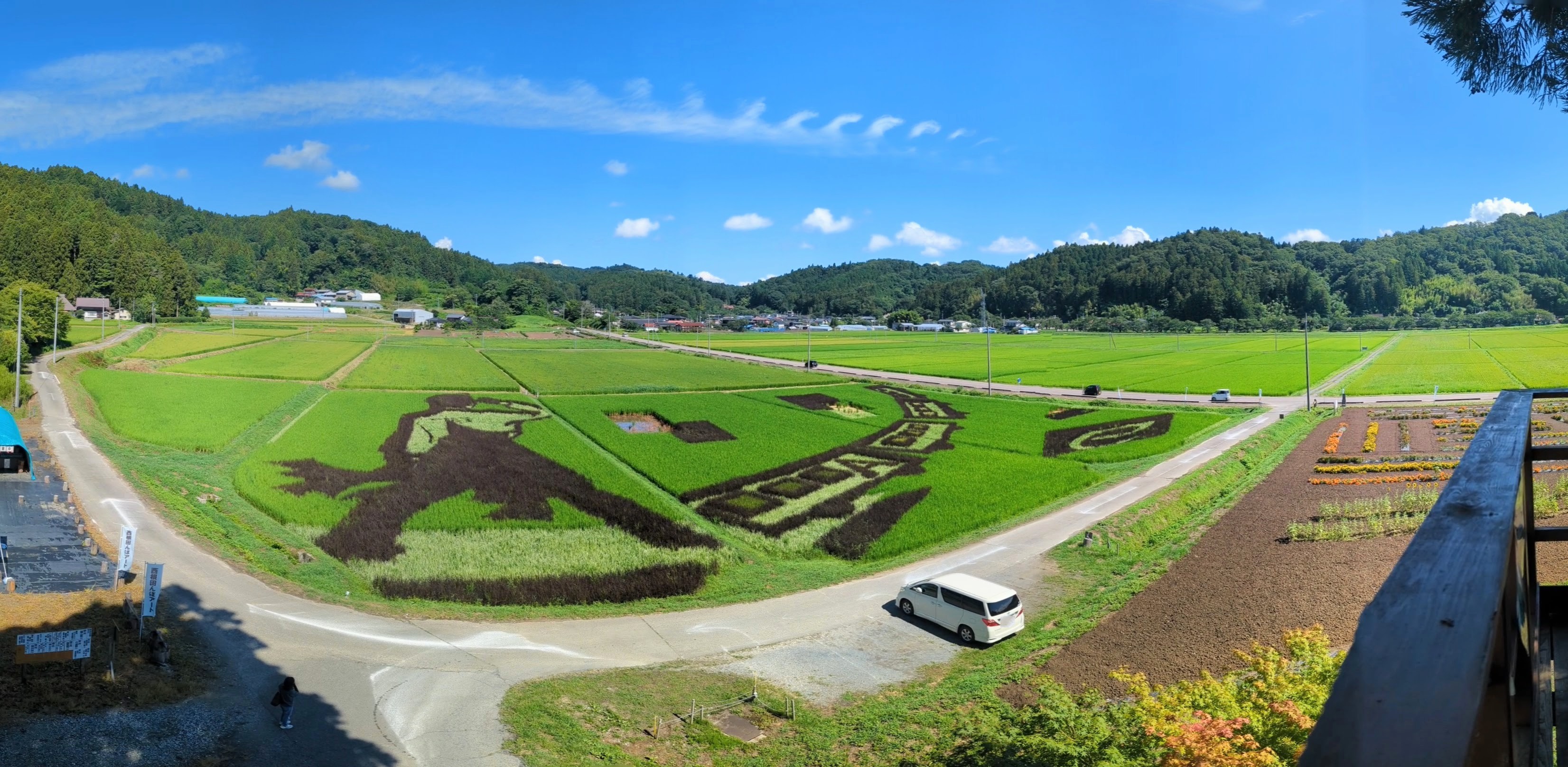 羽生結弦 田んぼアート キーホルダー 街のアート】羽生結弦さんと白龍の田んぼアートが見ごろにー宮城