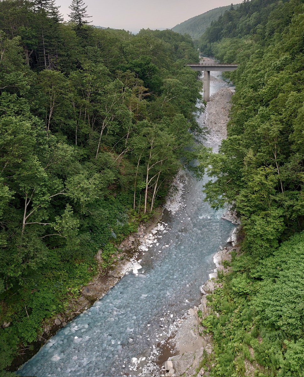 トムキャット tweet media