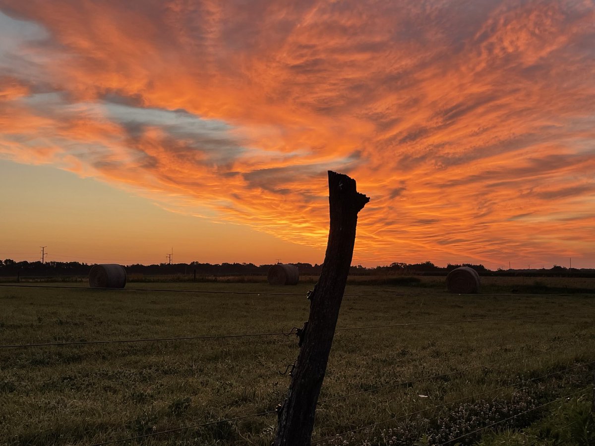 Dan Maggart tweet media