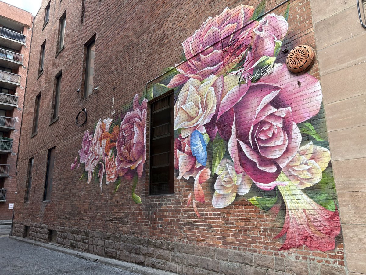 carmilevy's tweet image. Creativity is everywhere, even in the shadowy alleys where most of us fear to tread.

But we go there, anyway, because art was never meant to be easy. Neither is life.

#toronto #colborne #mural