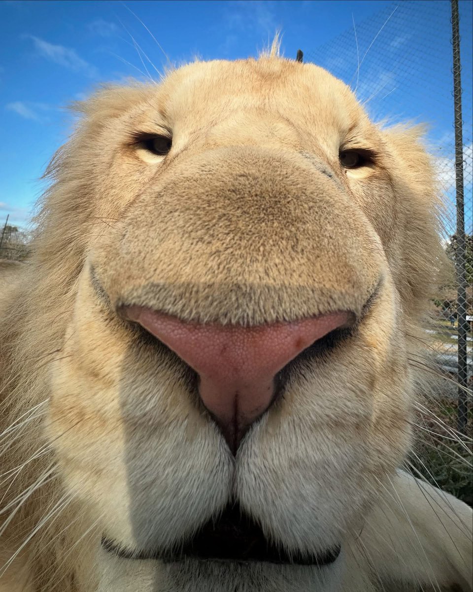 Um…. hey dude…