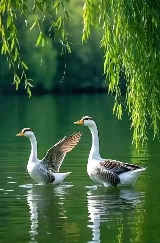 Beauty Of Earth (@lover12163) on Twitter photo 